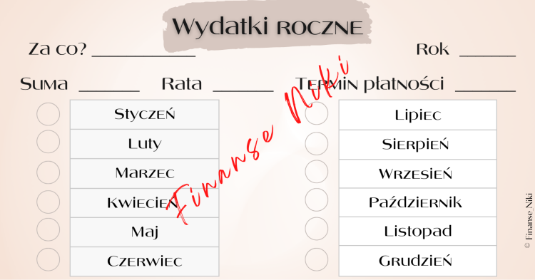 ZW_Wydatki roczne nude.png