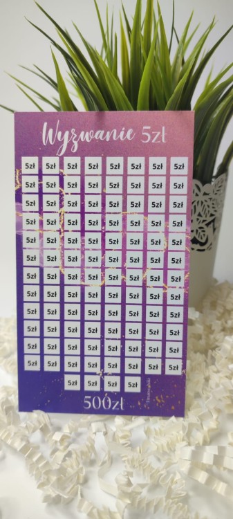 5zl_fioletowe 1.jpg