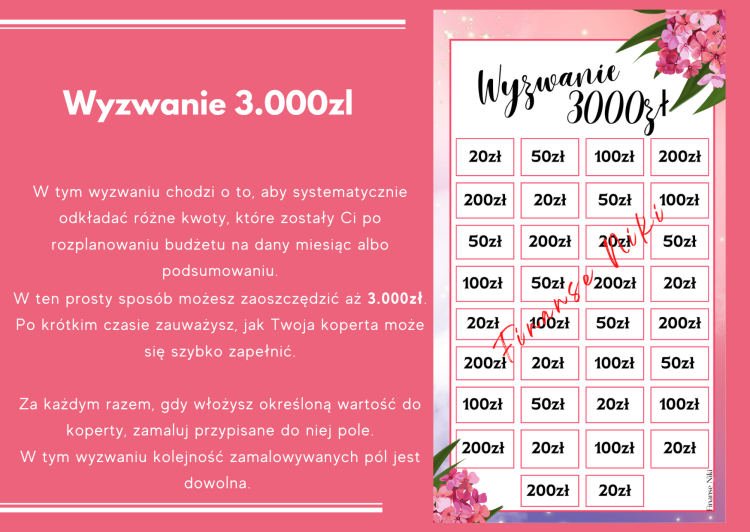 ZW_Opis_Wyzwanie 3.000zl.png