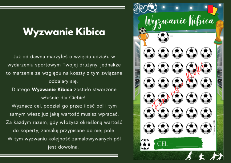 ZW_Opis_Wyzwanie Kibica.png