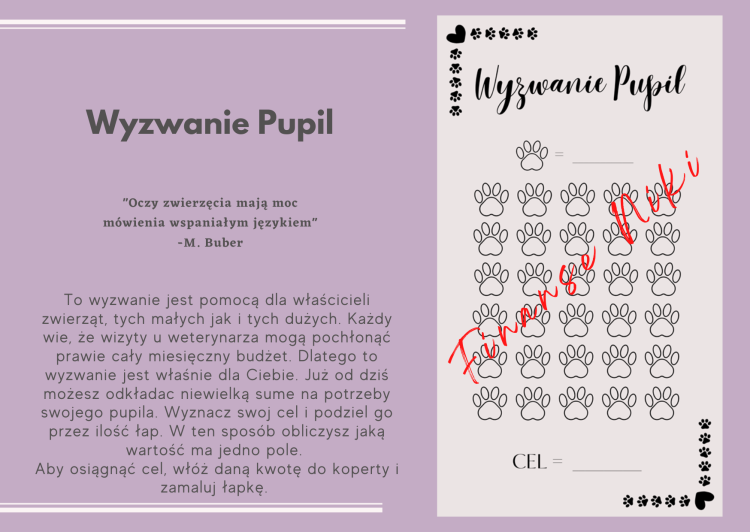 ZW_Opis Wyzwanie Pupil.png