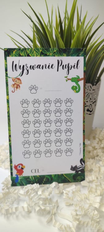 Pupil_dzungla.jpg