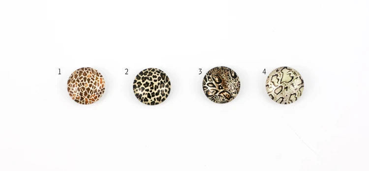 SAFARI 4