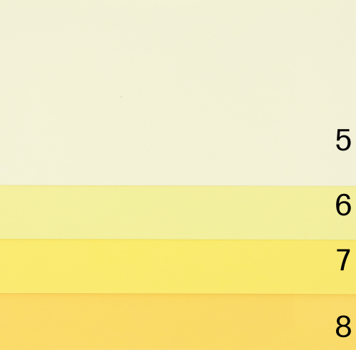 kolory 2.png